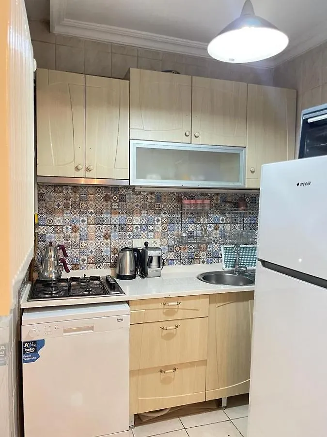 Smf Suites 2+1 Flat Istanbul Apartment