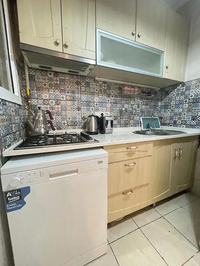 Smf Suites 2+1 Flat 伊斯坦布尔 公寓